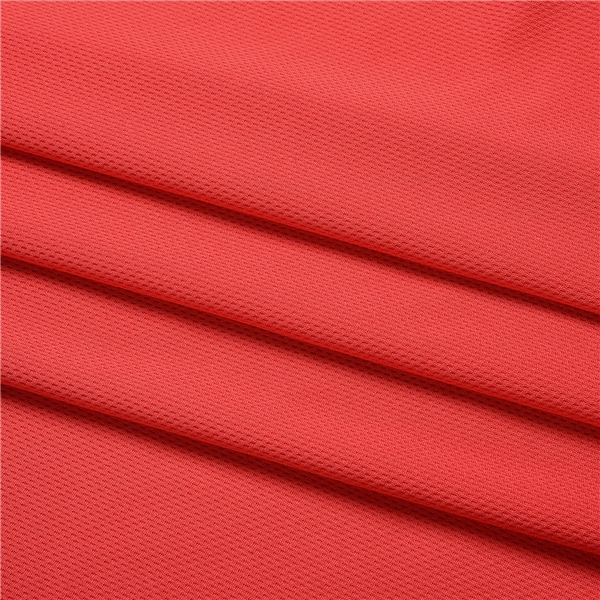 3001 full polyester large mesh